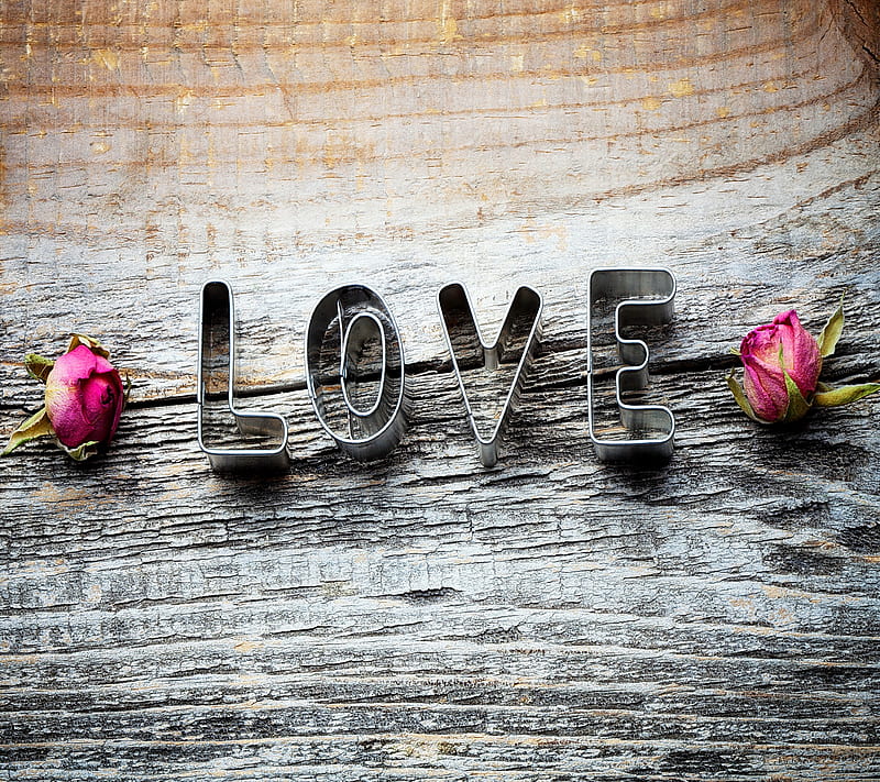 Love And Roses, bud, cutter, romantic, rose, wood, HD wallpaper