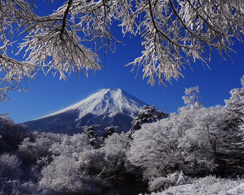 Mount Fuji, japan, snow, ice, trees, winter, landscape, HD wallpaper