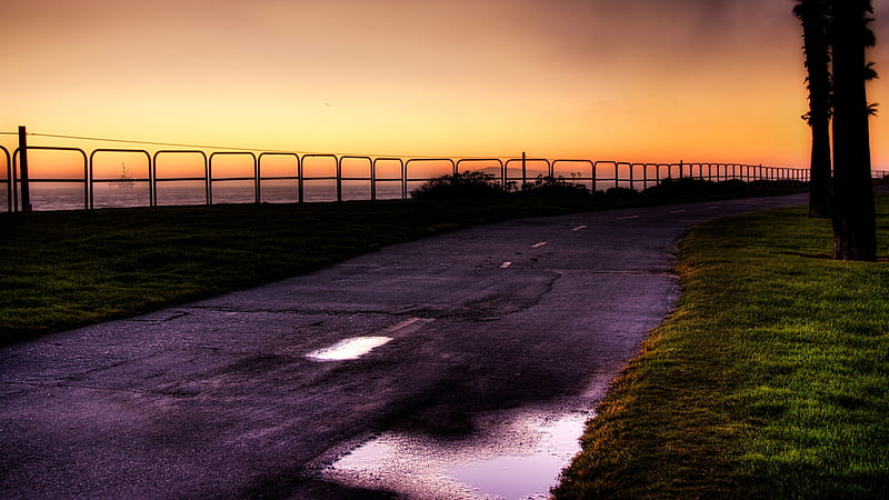 Driving on a beach road (for Will), driving, drive, sun, grass, orange, long, puddles, yellow, sunset, trees, sky, sea, beach, color, colour, road, HD wallpaper