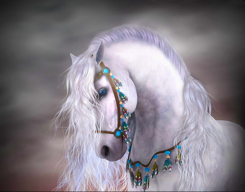 Magnificant, stallion, white, mane, horse, HD wallpaper