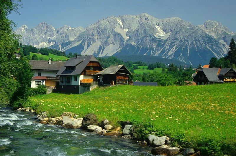 Swiss Alps, Alps, stream, riverbank, shore, grass, Switzerland, snowy, countryside, mountain, calm, stones, cliffs, swiss, village, peaks, flowers, river, quiet, houses, greenery, creek, sky, freshness, water, serenity, slope, peaceful, summer, nature, field, HD wallpaper