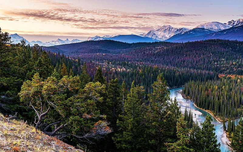 Jasper National Park evening landscapes, autumn, mountains, Alberta, Canada, forest, beautiful nature, HD wallpaper