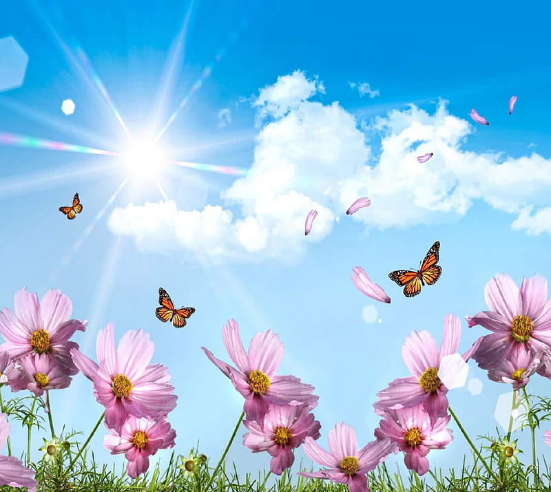 3D Summer, butterflies, flowers, landscape, nature, HD wallpaper | Peakpx