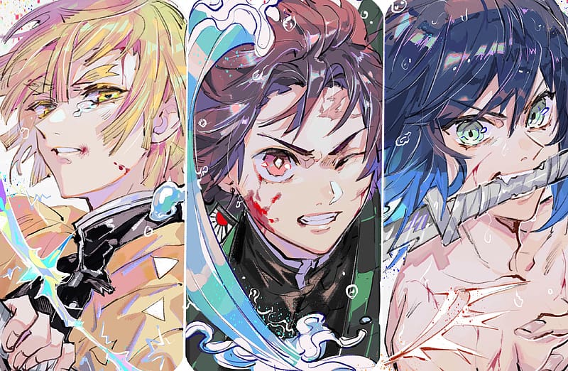 Anime, Demon Slayer: Kimetsu No Yaiba, Zenitsu Agatsuma, Inosuke ...