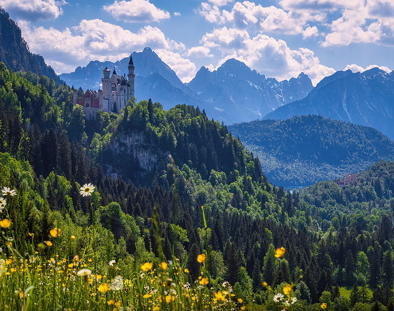 Castles, Neuschwanstein Castle, Castle, Flower, Forest, Germany, Mountain, HD wallpaper