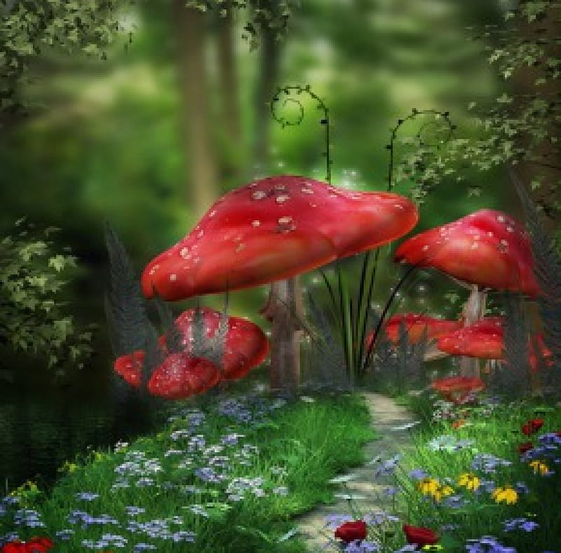 Forest path, red, forest, colorful, amazing, lovely, mushroom, bonito, tree, flower, path, peaceful, nature, HD wallpaper
