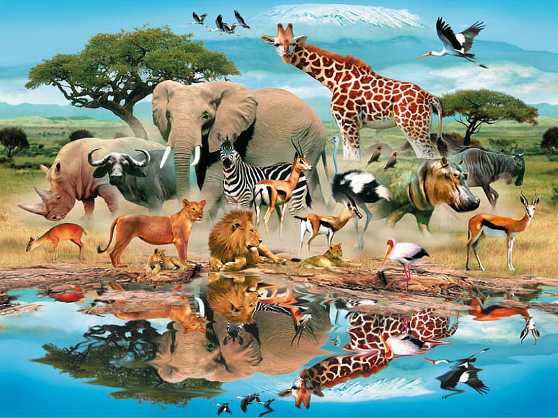 REFLICTIONS OF THE JUNGLE, birds, elephants, water, jigsaw, HD wallpaper
