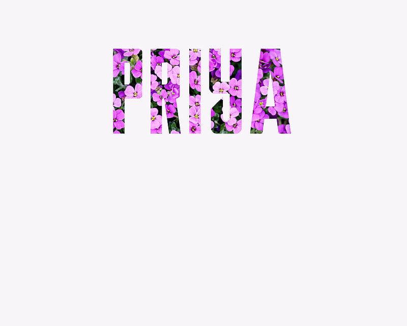 PRIYA a, priyanka, flowers, name, india, purple, girly, adorable, baby, HD  wallpaper | Peakpx