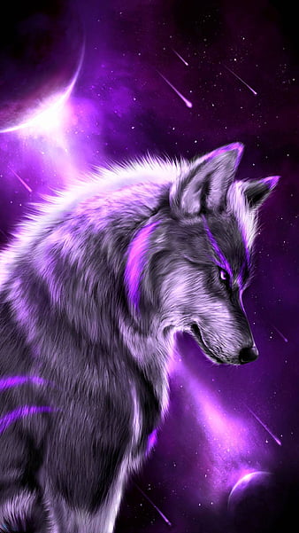 Galaxy Cute Aesthetic Wolf cute wolves HD wallpaper  Pxfuel