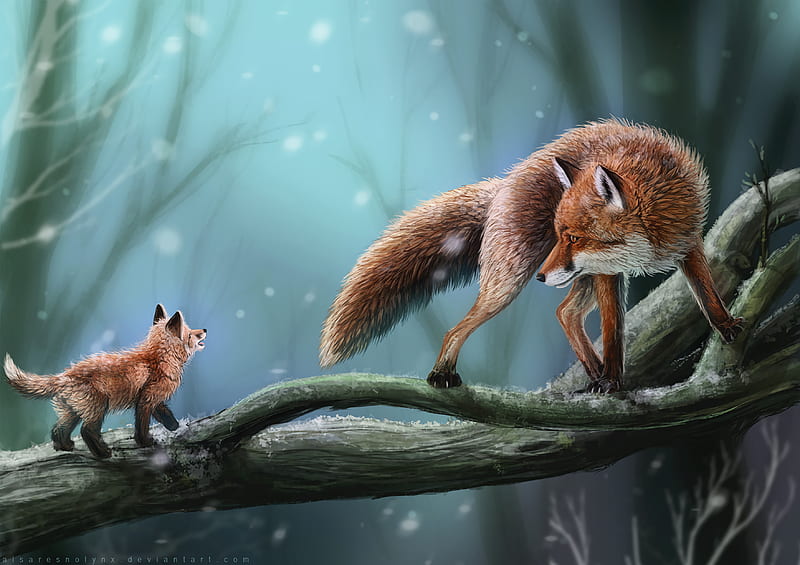 fox, profile, branch, HD wallpaper