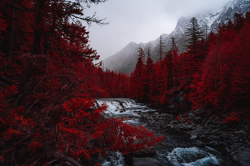 river, trees, red, mountains, fog, landscape, HD wallpaper