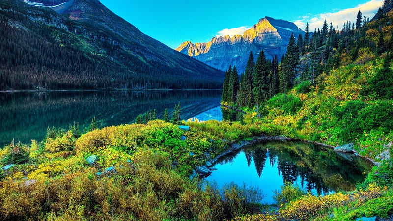 Alpine Lake, forest, mountains, nature, trees, lake, landscape, HD wallpaper