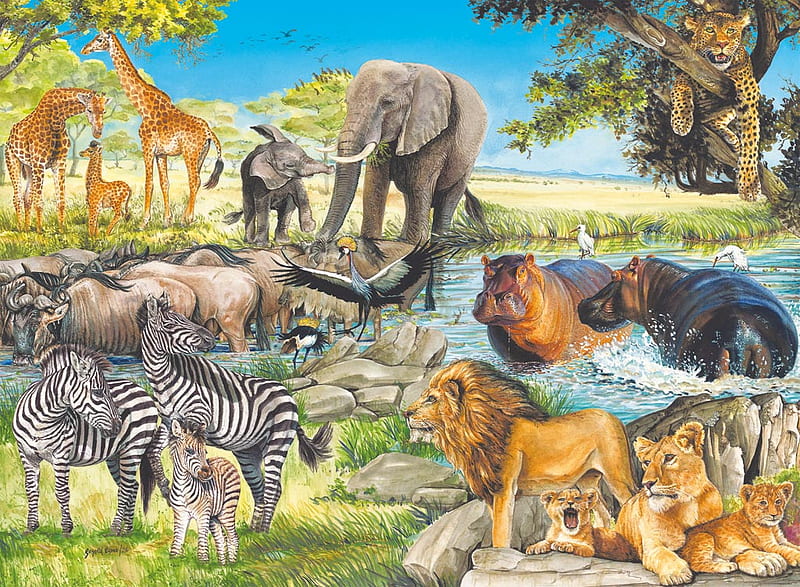 AFRICAN JUNGLE, tigers, zebras, lions, hippo, HD wallpaper