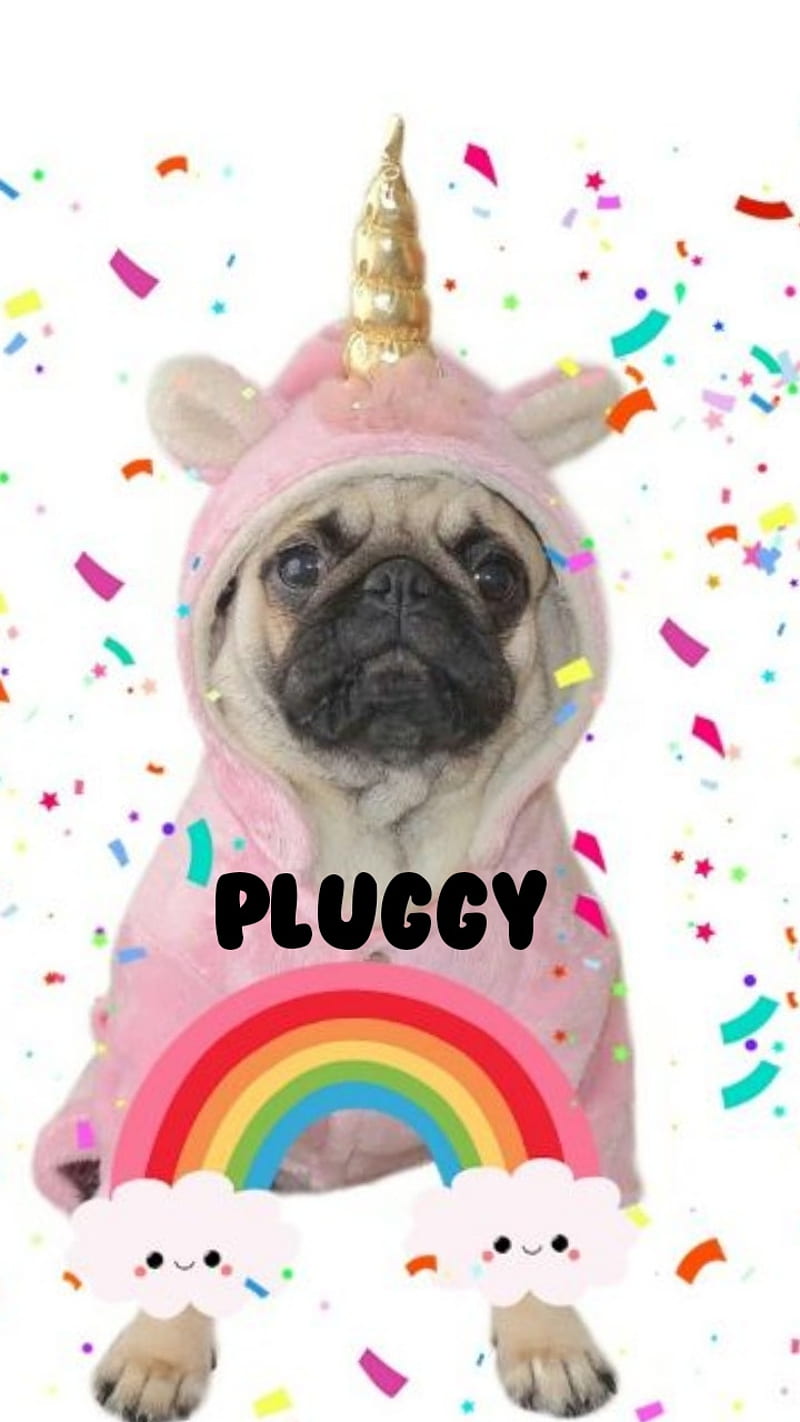 Pluggycorn, aww, camila, costume, cute, dog, pluggy, pug, rainbow, unicorn, HD phone wallpaper