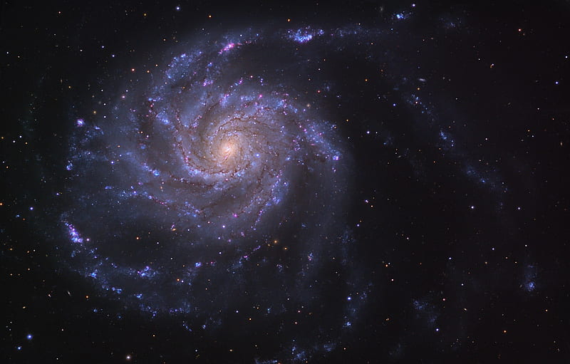 Pinwheel Galaxy, universe, pinwheel, space, galaxy, HD wallpaper
