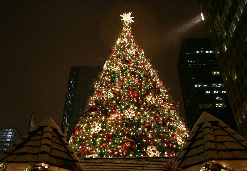 CHICAGO CHRISTMAS, tree, roof, top, chicago, HD wallpaper