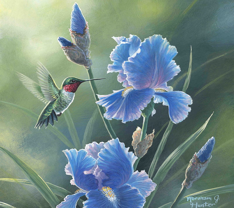 Grandma's Garden, painting, flowers, blossoms, irises, hummingbird, buds, artwork, HD wallpaper