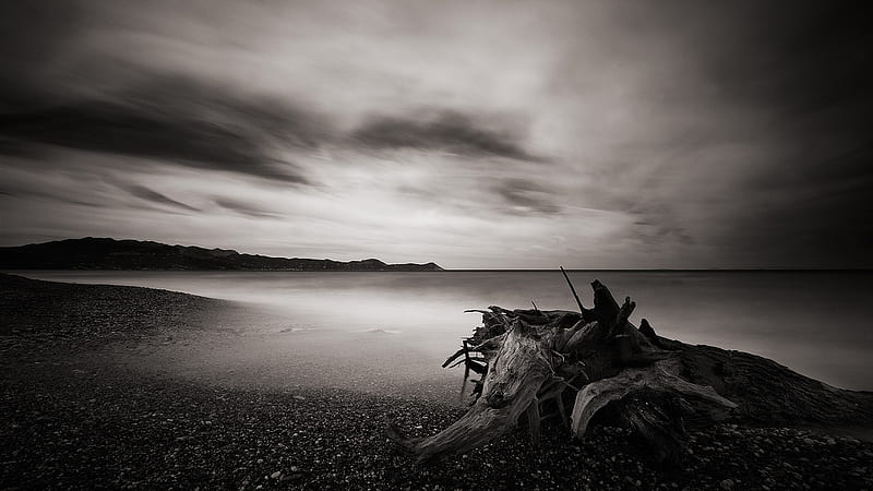 dead wood, black and white, beach, sky, stump, HD wallpaper