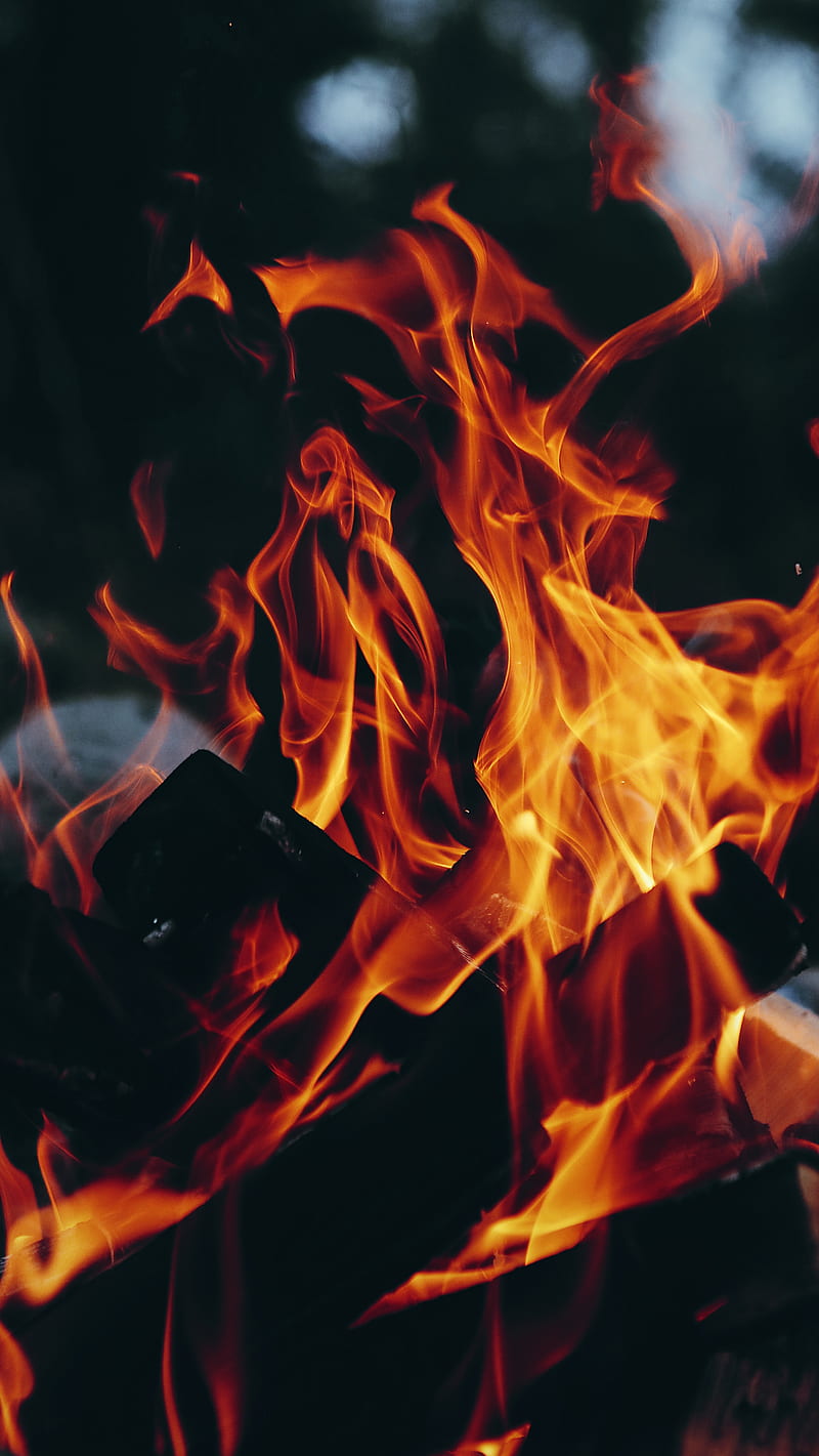Fire Flames II, bonfire, burn, burning, lit, nature, real, HD phone ...