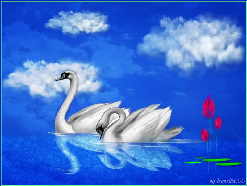 Fantazia, lotus, lovely, lilies, sky, clouds, pond, fantasy, Swans, nature, imagination, blue, HD wallpaper