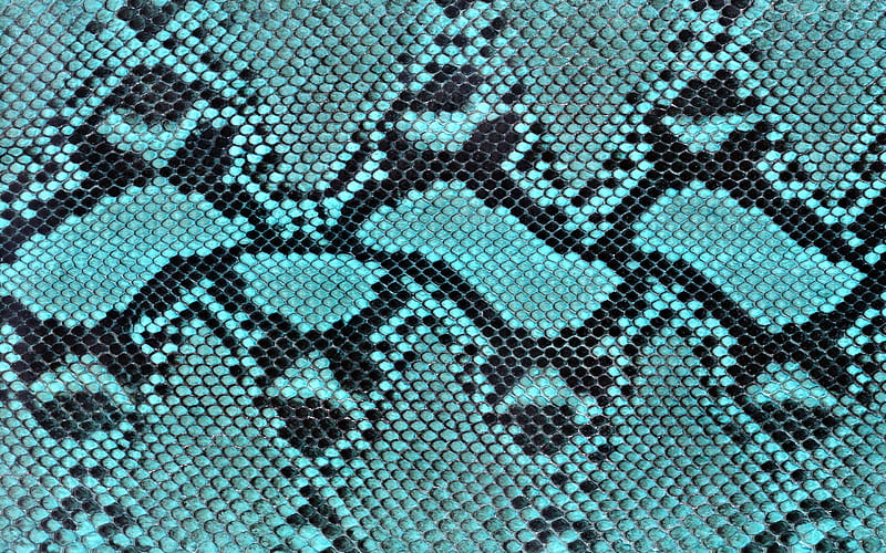 blue snake skin, reptile skin, macro, snake skin textures, blue snake, leather backgrounds, snake skin, HD wallpaper