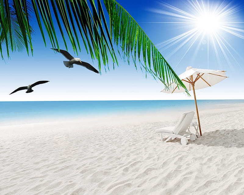 Tropical Sands, beach, birds, island, new, nice, paradise, sands, tropical, water, HD wallpaper