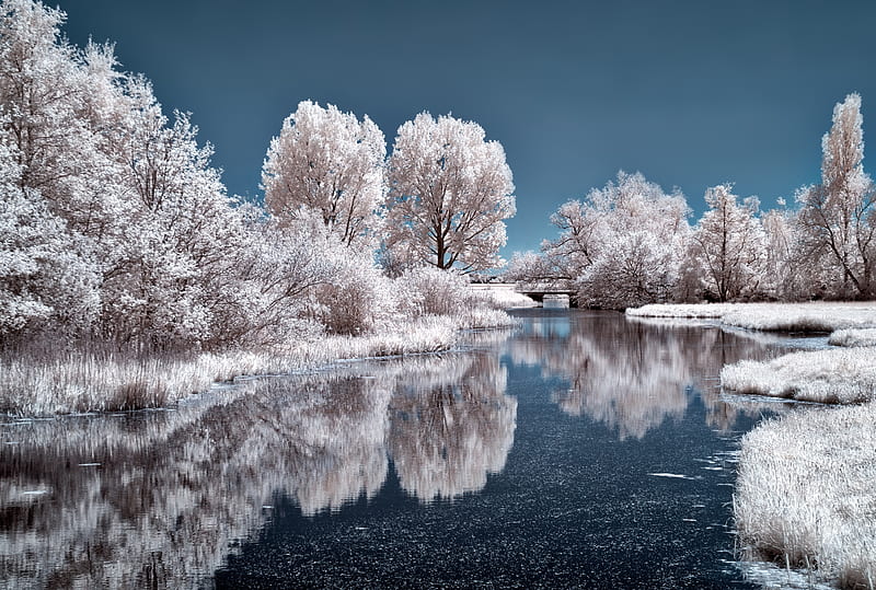 Beautiful Winter Scene, nature, winter, scene, landscape, frost, hoarfrost, cold, water, icy, white, blue, HD wallpaper