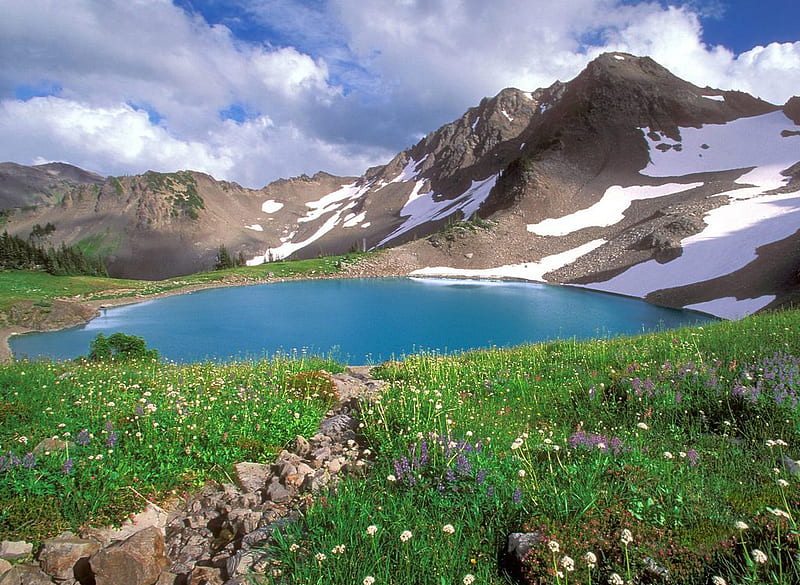 Alpine, flowers, nature, lake, mountains, HD wallpaper
