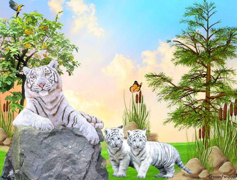 FOR DJ...''3WAGGINTAILS'' GRANDSON, TIGERS, TREES, CREATION, ABSTRACT, HD wallpaper