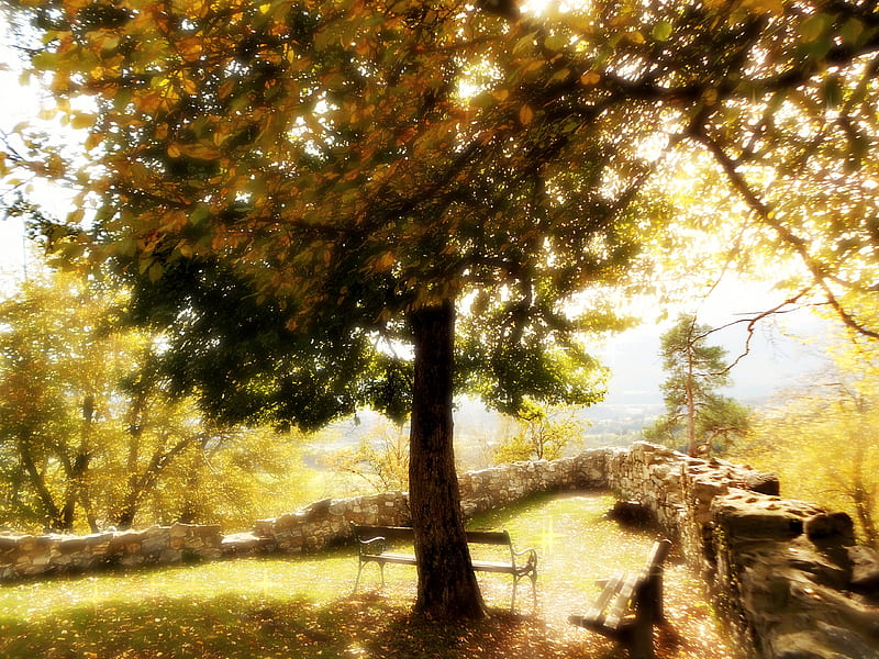 Ledge of Forgotten Dreams, september, bricks, sun, ancient, bench, old, destroyed, tree, stone, benches, ledge, ruin, castle, HD wallpaper