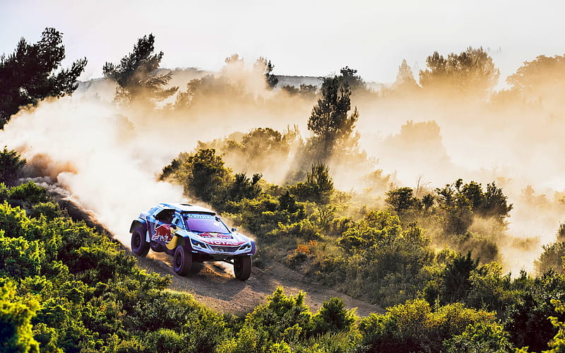 Peugeot 3008, Dakar Rally 2018, Dune buggy, race, rally car, HD wallpaper