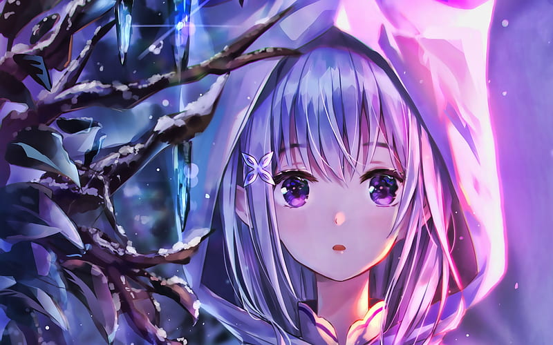 Emilia, Re Zero, girl with violet eyes, Re Zero characters, portrait,  manga, HD wallpaper | Peakpx