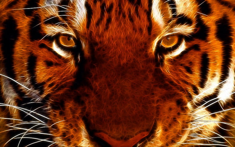 Fractal Tiger, wild, fractal, tiger, cat, animal, HD wallpaper | Peakpx