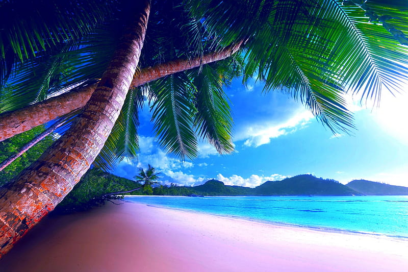 Dreamy Beach, sand, water, artwork, sea, palms, HD wallpaper