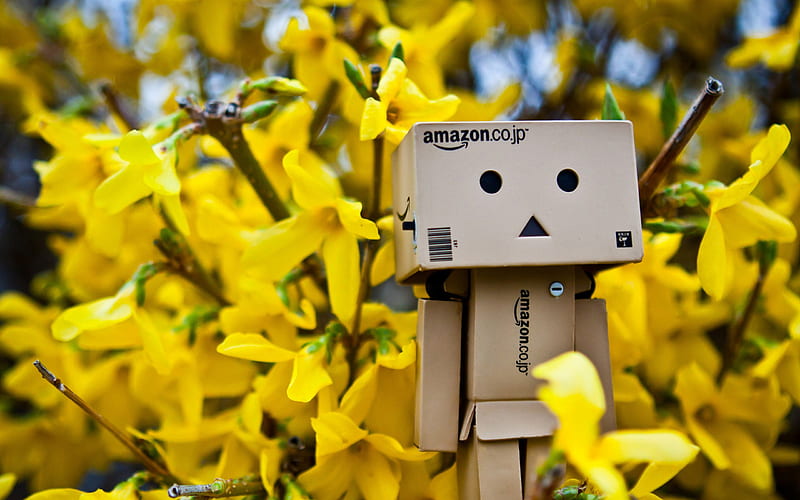 danbo spring time-Carton with the film people Danbo, HD wallpaper