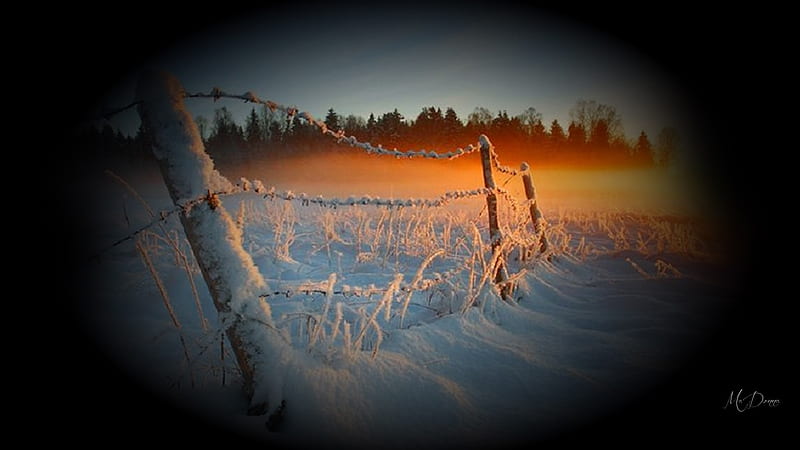 First Snowfall, Firefox theme, fall, barbed wire fence, fence, autumn, dawn, sunset, collage, twilight, country, winter, farm, snow, sunrise, HD wallpaper