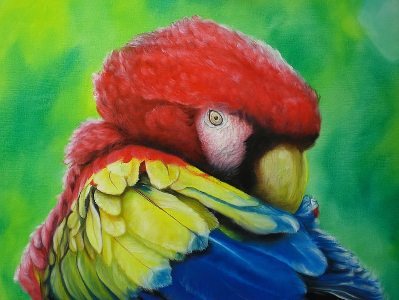 Parrot Painting, Art, Painting, Parrot, Animal, Hd Wallpaper 