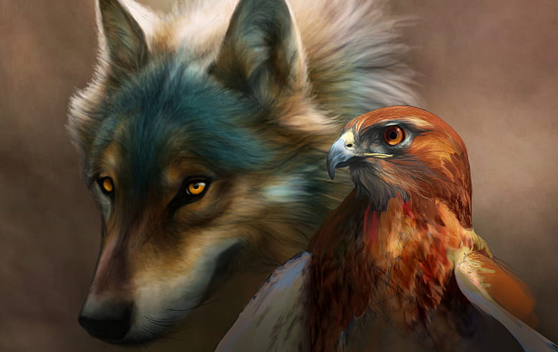 Wolf and eagle, predator, art, wild, eagle, wolf, animal, HD wallpaper