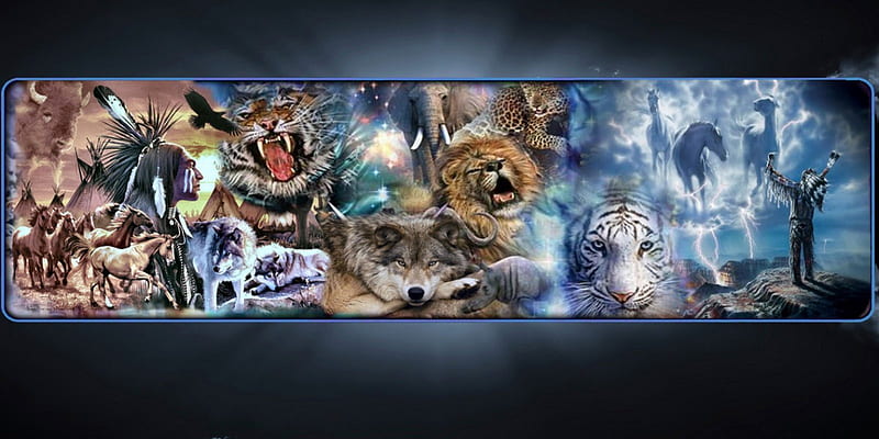 Wolf Africa Native, eagle, buffalo, native, tiger, wolf, lion, africa, scene, HD wallpaper