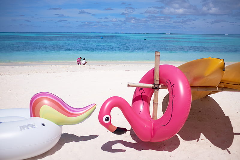pink flamingo floater in front ocean, HD wallpaper