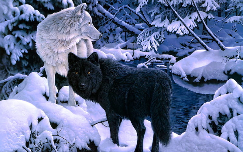 Wolves, art, luminos, black, animal, winter, snow, painting, wolf, white, pictura, couple, HD wallpaper