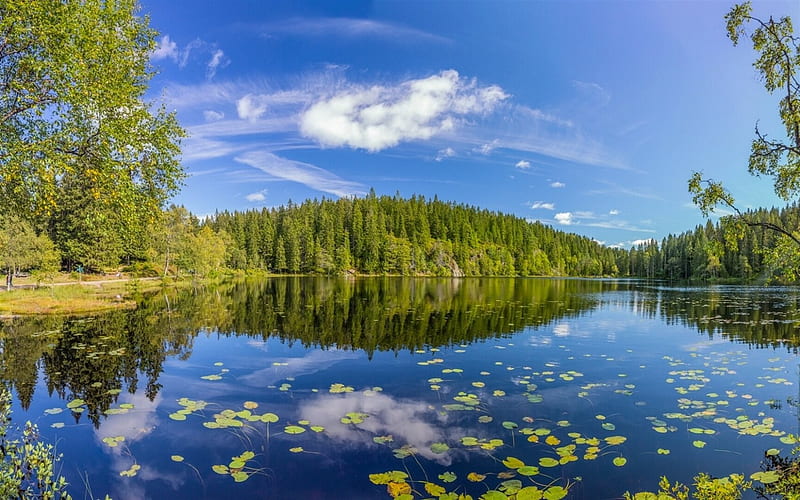 Skjennungen Lake, summer, forest, Oslo County, Norway, HD wallpaper