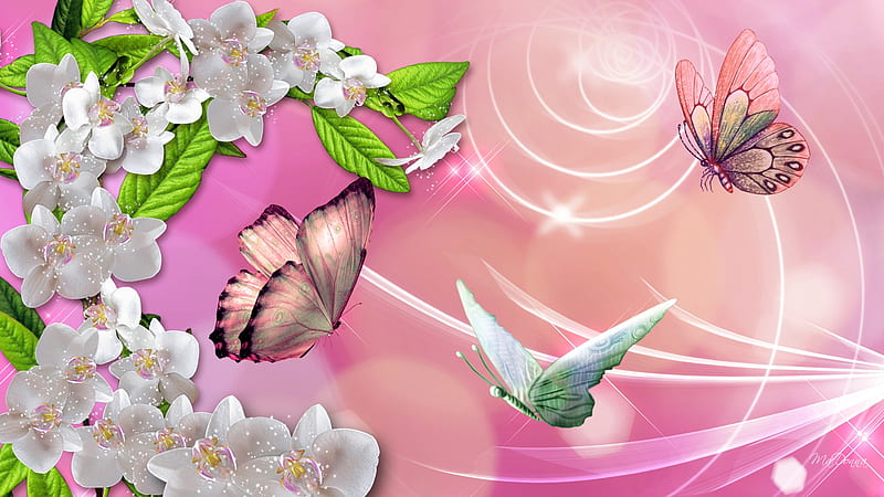 Magical, butterflies, spring, silk, sparkles, orchids, leaves, swrils, summer, flowers, pink, HD wallpaper
