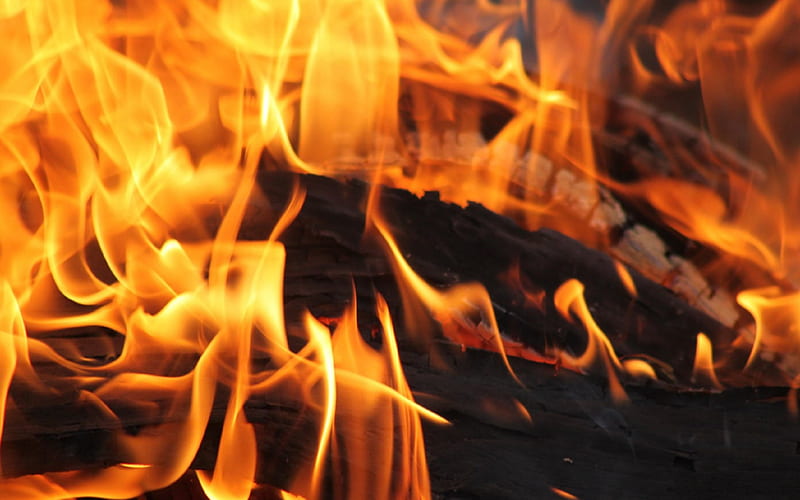 Camp Fire Flame, burn, forceofnature, camp, burning, yellow, fire, flame, hot, nature, wood, night, HD wallpaper