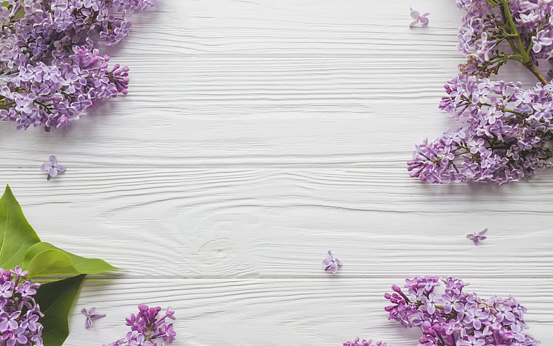lilac, light wooden background, spring flowers, purple spring flowers, HD wallpaper