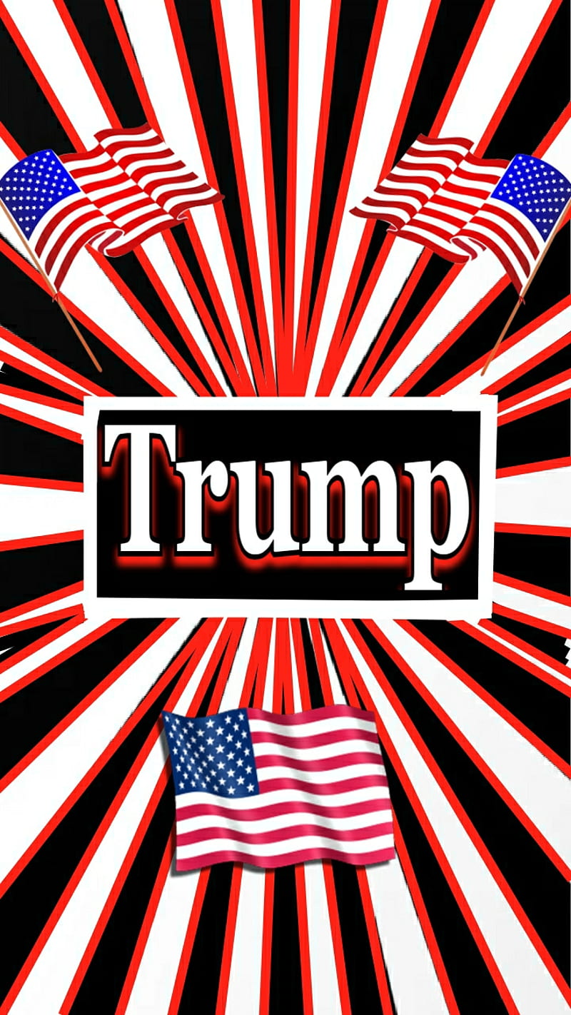 Trump, 2020, blue, election, flag, landslide, president, red, white, winner, HD phone wallpaper
