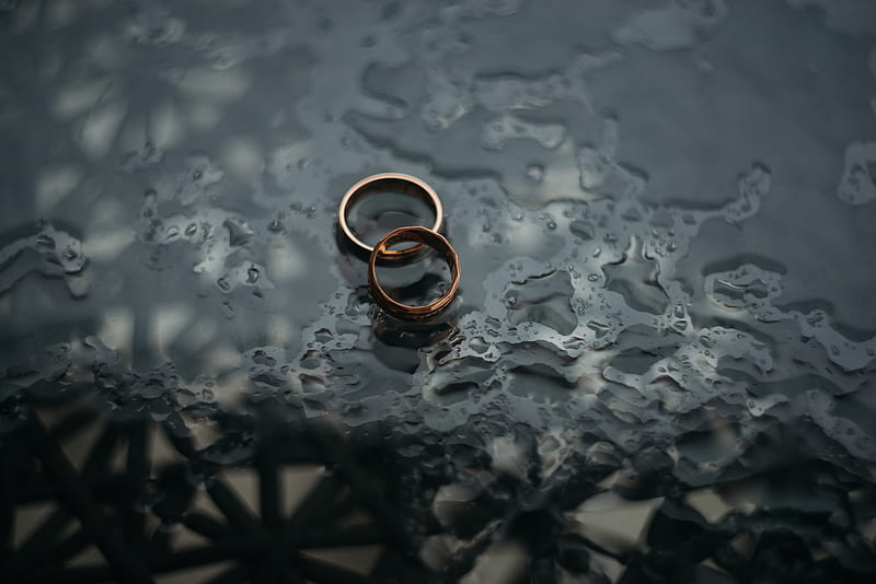 rings, wedding, water, Others, HD wallpaper