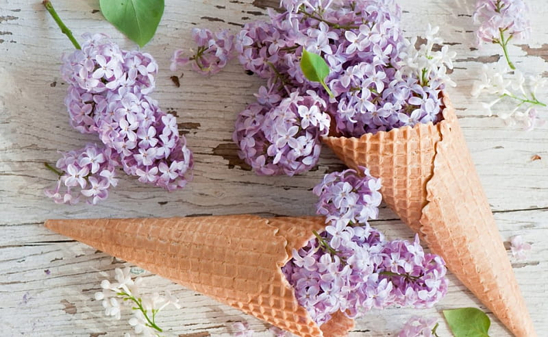 soft ice-cream, ice-cream, cone, flowers, soft, HD wallpaper
