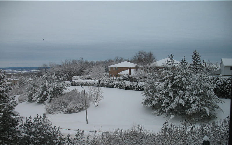Winter 2008, snowstorm, house, sky, snow, HD wallpaper