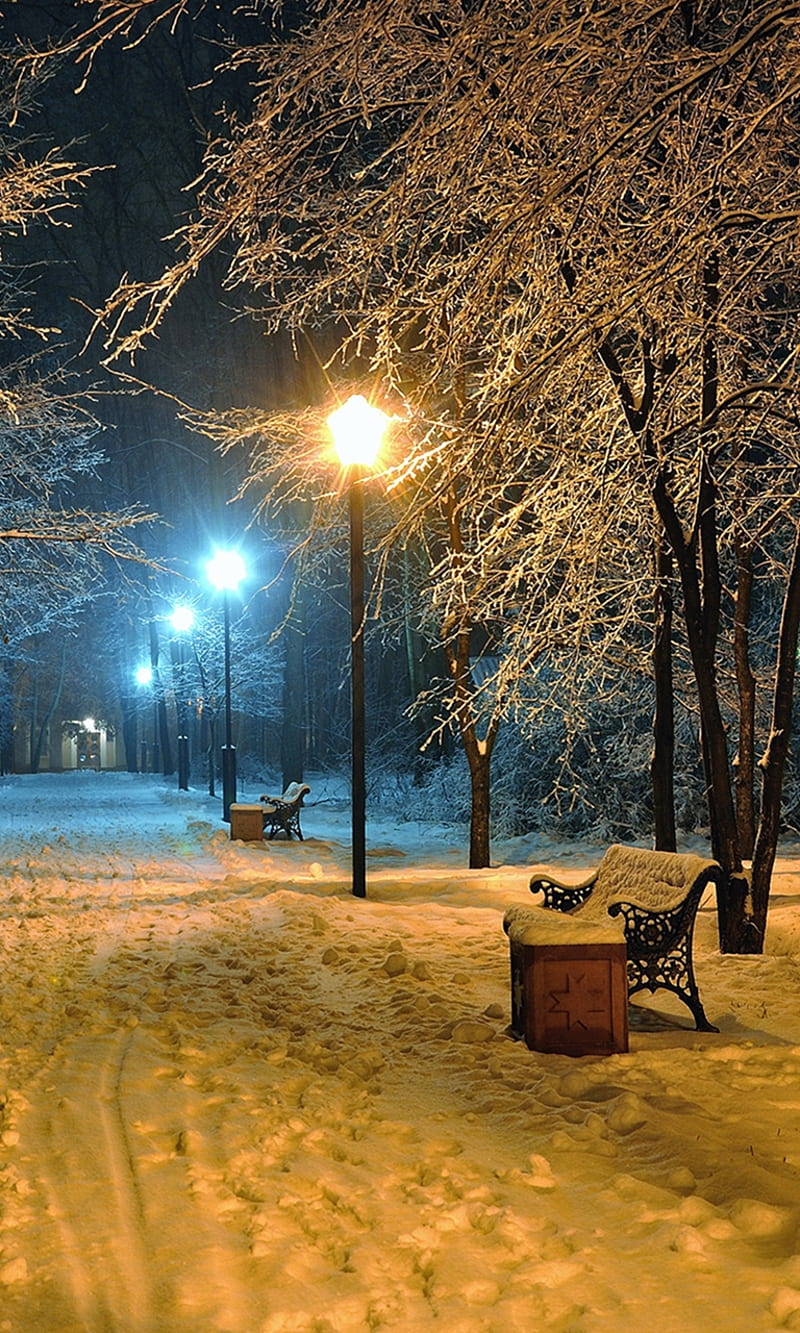 winter, cold, cool, nature, new, park, season, HD phone wallpaper